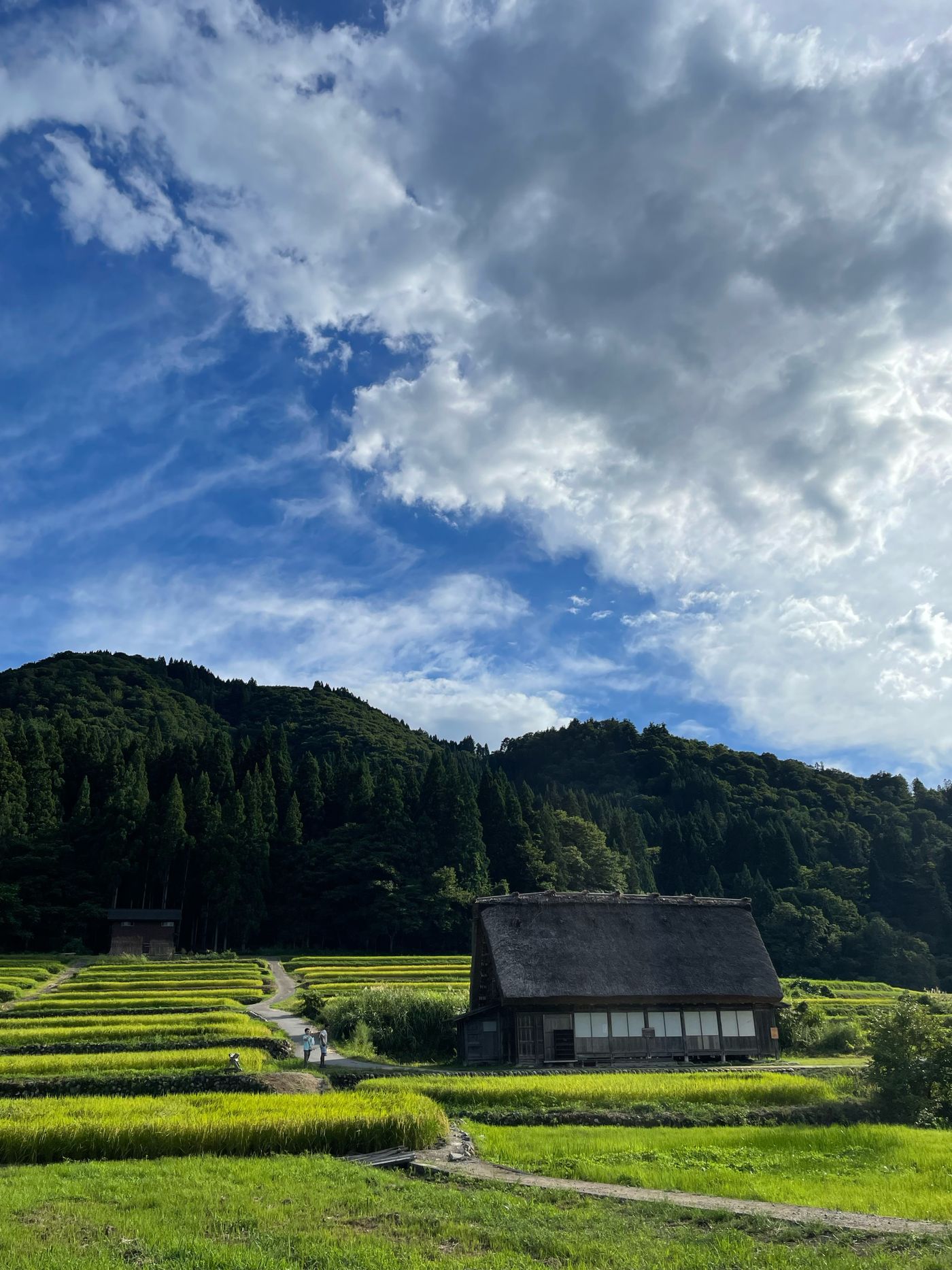 工場周辺の風景